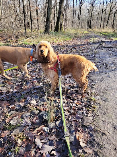 Amitié Canine, Dresseur De Chiens à Émerainville