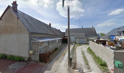 URTIS de la CHAUME RIGAULT, Eleveur de Chiens à Conan