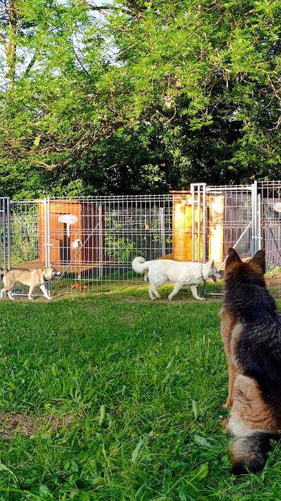 Canisko, Pension Pour Chien à Saint-Pierre-Roche