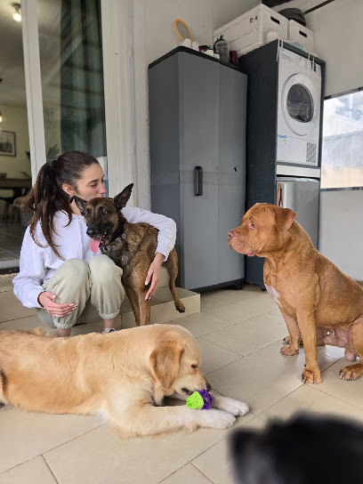 Maison Pet Pension Pour Chien à Lucé