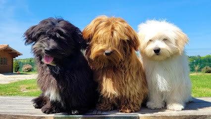 ÉTERNEL MITNESS, Eleveur de Chiens à La Puye