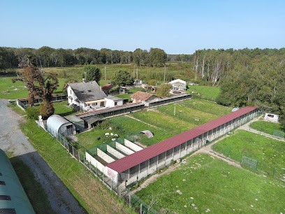 Pension La Renardière - chiens et chats, Pension pour Chiens à Chartrettes