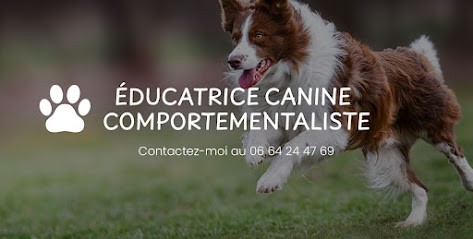 COM'2 CHIENS, Dresseur de Chiens à Mareuil-sur-Ourcq