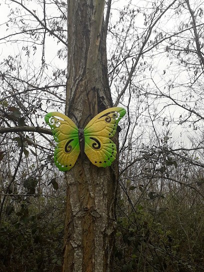 Cassaing Colette, Pension pour Chiens à Eaunes