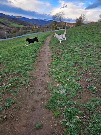 La Pension du Dragon, Pension pour Chiens à Saint-Privat-du-Dragon