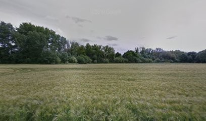 Visite, Garde, Pension : Chats, Chiens, Animaux, Eure 27, Val D'Oise 95, Oise, Pension pour Chiens à Fay-les-Étangs