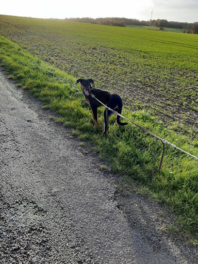 soandcanin, Dresseur de Chiens à Lézinnes