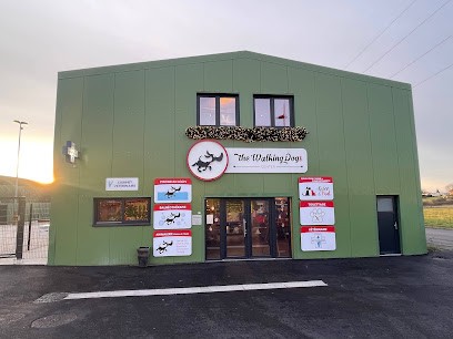 The Walking Dogs Center - Gwen & Paul, Dresseur de Chiens à Woustviller