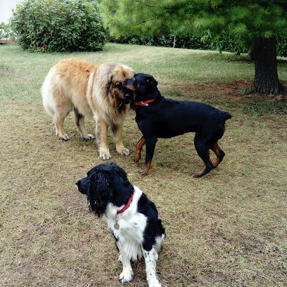 Fournier Severine, Pension pour Chiens à Bansat
