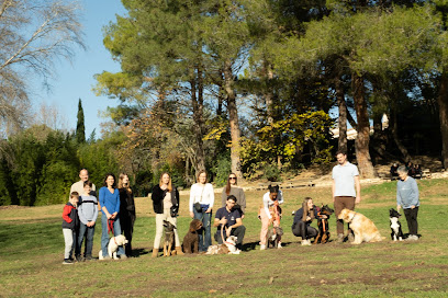 Training Dog - Éducateur Canin Comportementaliste - Aix En Provence, Dresseur De Chiens à Aix-en-Provence