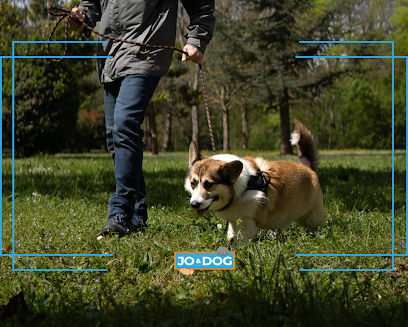 Jo & Dog - Éducateur Canin Comportementaliste, Dresseur De Chiens à Roquettes