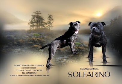 Élevage SOLFARINO, Eleveur de Chiens à La Chapelle-Moutils
