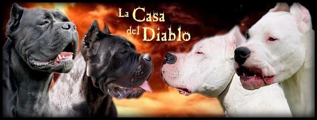 Élevage de La Casa del Diablo, Eleveur de Chiens à Lavergne