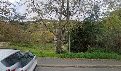 Les Croës des Baous, Eleveur de Chiens à Tourrettes-sur-Loup