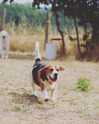 Chez Marth', Pension pour Chiens à Berthecourt