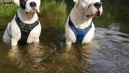 La Patte Blanche :, Dresseur de Chiens à Puttelange-aux-Lacs