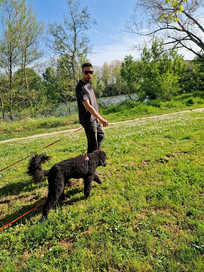 Victor Education Canine, Dresseur De Chiens à Pinsaguel