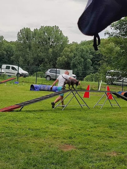 Lor'educ éducateur Comportementaliste Canin, Dresseur de Chiens à Ménil-sur-Saulx