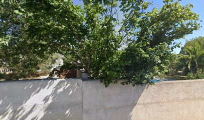 Edu K Nin, Dresseur de Chiens à Villeneuve-lès-Maguelone