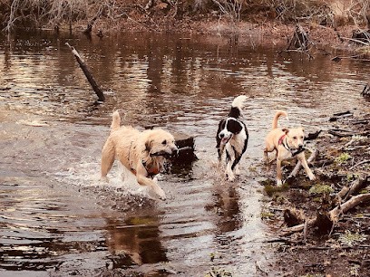 VILLAGE CANI-VACANCES, Pension pour Chiens à Villeneuve-de-Marsan