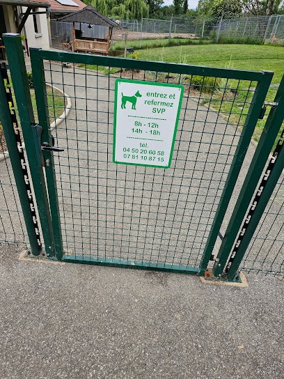 Pension Au Poil, Pension pour Chiens à Collonges