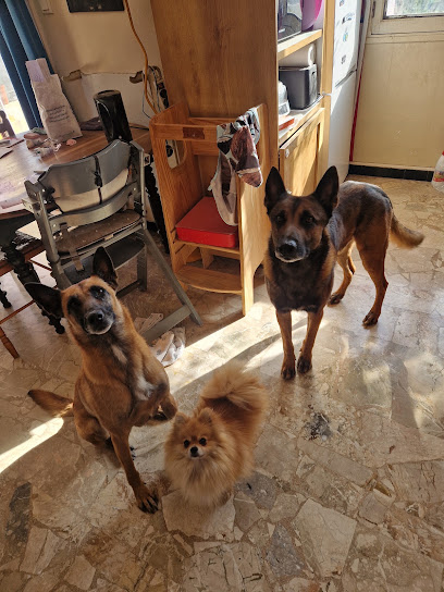 L'arche De Lou, Pension Pour Chien à Aspres-sur-Buëch