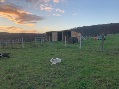 Pension Du Mafoi, Pension Pour Chien à Saint-Mard-de-Réno