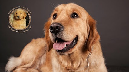 Élevage de l'étoile sacrée, Eleveur de Chiens à Saint-Fergeux