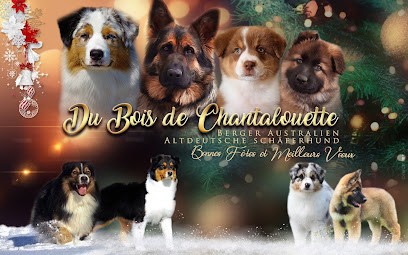 Élevage Du Bois De Chantalouette, Eleveur de Chiens à Bourgoin-Jallieu