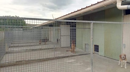 Pension canine Berger Josiane sud Ardèche, Pension pour Chiens à Laurac-en-Vivarais
