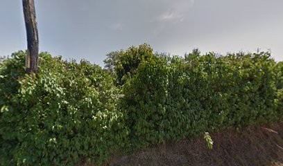 La Vallée du Lilas Blanc - Elevage de Berger Blanc Suisse, Eleveur de Chiens à Fresney-le-Puceux