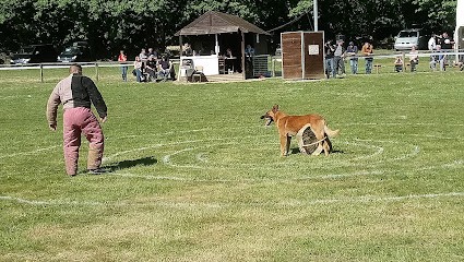 Club Canin De Rédéné, Dresseur de Chiens à Rédené