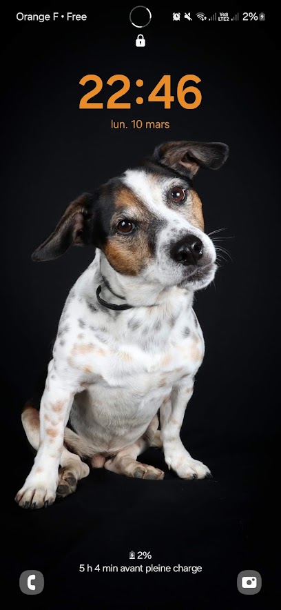Mag Sage, Pension Pour Chien à Châteaurenard