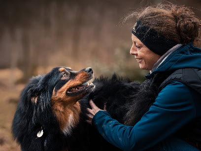Mille Et 1 Truffes, Dresseur De Chiens à Saint-Germain-Lavolps