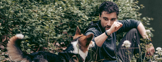 Arcanis - Camille Proust, Éducateur Comportementaliste Canin Dresseur De Chiens à Toulouse
