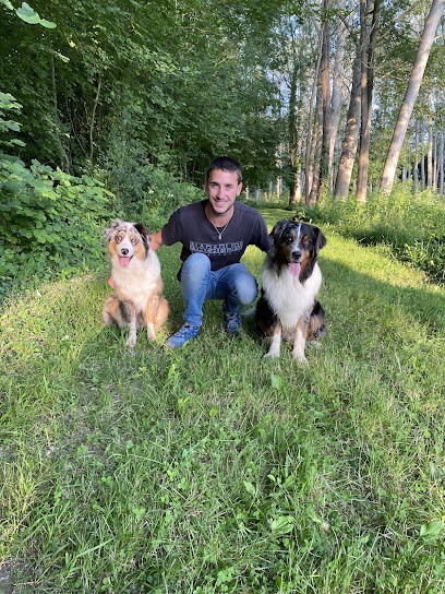 Valentin Hay Educateur Canin/ Pension Canine La Rochelle, Dresseur de Chiens au Langon