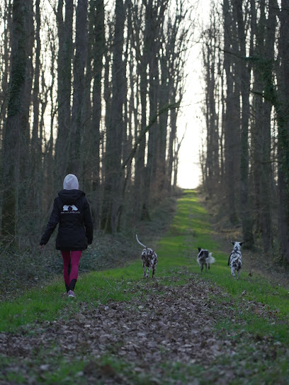 Mialou À La Rescousse : Éducateur Comportementaliste Canin, Dresseur De Chiens à Louchy-Montfand