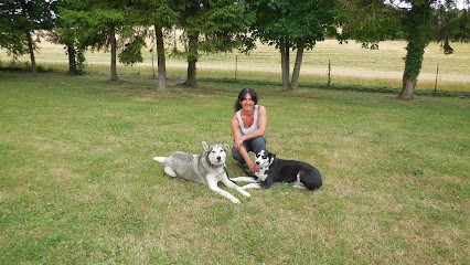 Etholologie Dog, Dresseur de Chiens à Saint-Quentin-en-Tourmont