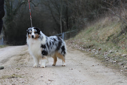 Des Canailles De La Bergerie, Pension Pour Chien à Saint-André