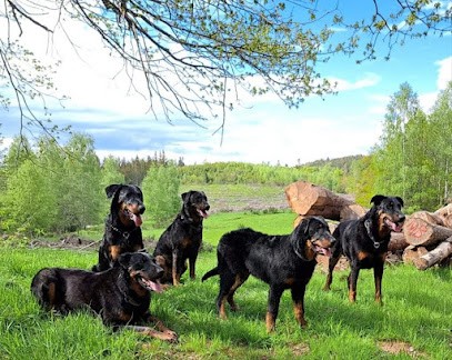 Elevage du Paradis des Evaux, Eleveur de Chiens à Fraize