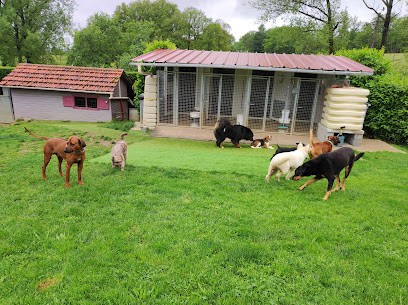 Canin Heureux Chris' Pension Familiale Canine, Pension pour Chiens à Preyssac-d'Excideuil