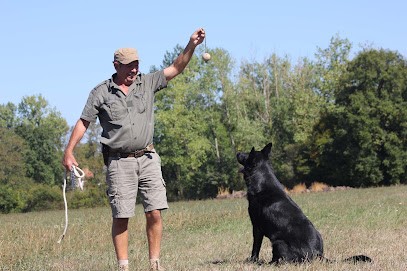 Rippinger Patrick - éleveur de Berger Allemand de travail, Eleveur de Chiens à Nouzerines
