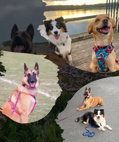 Sherwood Dogeduc Dresseur De Chiens à Andrésy