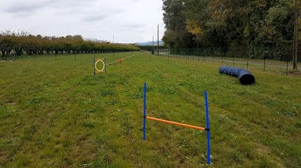 Centre Canin 4mydog- Educateur canin et Comportementaliste en Drome/Ardeche, Dresseur de Chiens à Loriol-sur-Drôme