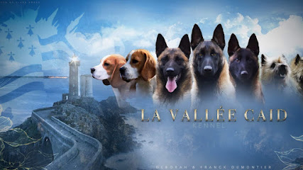 Élevage De La Vallée Caïd Éleveur De Chiens à Plœuc-L'Hermitage