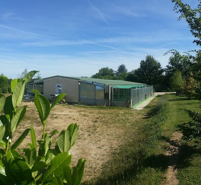 PENSION CANINE, Pension pour Chiens à Autruy-sur-Juine