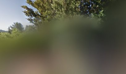 Scottish Terrier Club de France, Eleveur de Chiens à Six-Fours-les-Plages