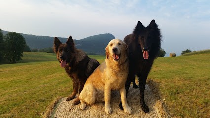 Dyade éducation canine Annecy 74 - Comportementalistes - Ecole du chiot - Sports canins : Obé rythmé, Hooper, Sauvetage, Dresseur de Chiens à Argonay