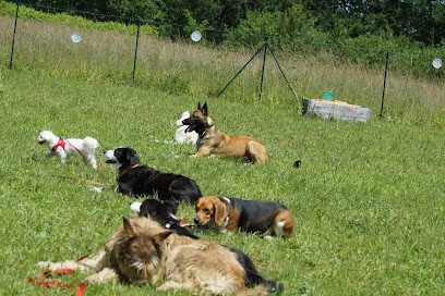 Cynoplanet, Dresseur de Chiens à Trentels
