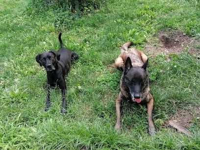 Cani's Cool, Dresseur de Chiens à Pajay